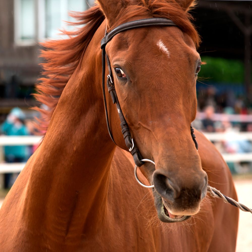 Photograph by Смирнов Алексей