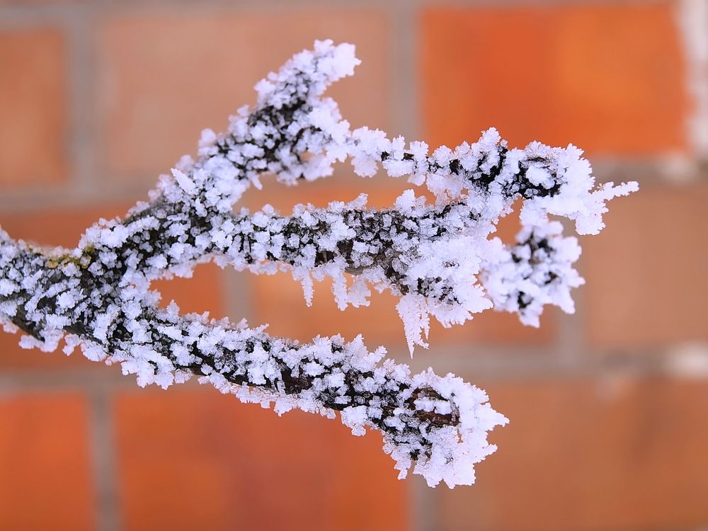 Photograph by Игорь Чеботарёв