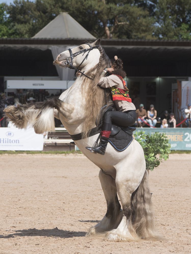 Photograph by Смирнов Алексей