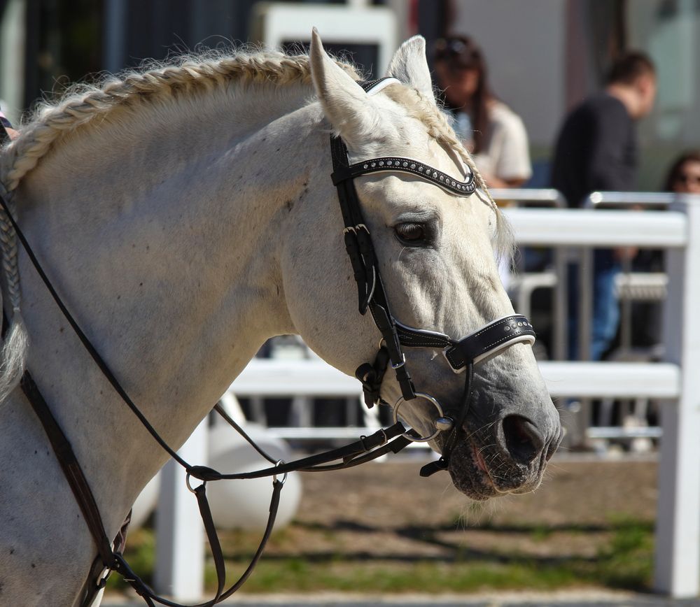 Фотография автора Воронина Татьяна
