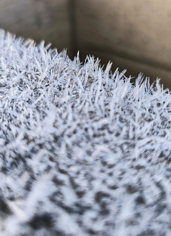 Photograph by Александр Житник