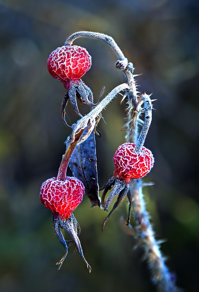 Photograph by Борис Новиков