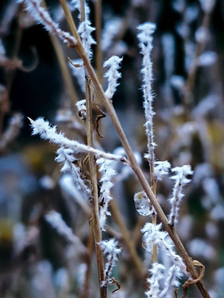 Photograph by Людмила Емельянчикова