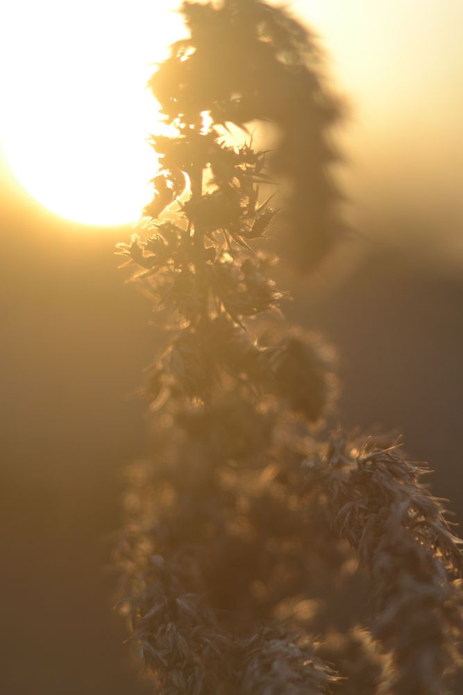 Photo #13003913
