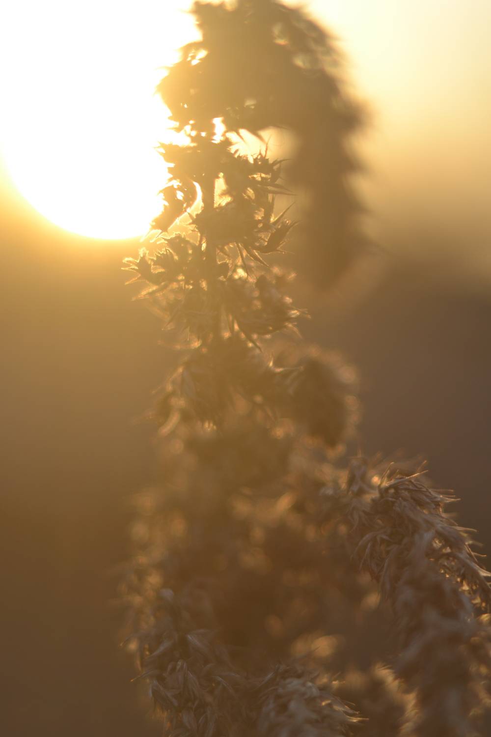 Photo #13003913
