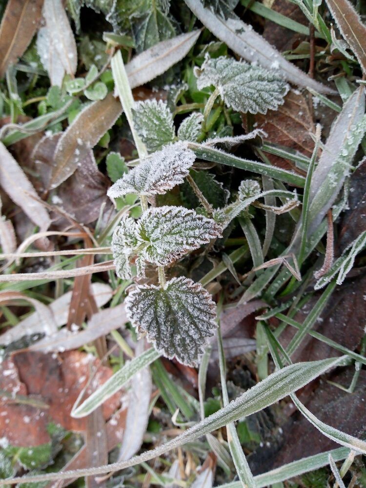 Photograph by Татьяна Пальчикова