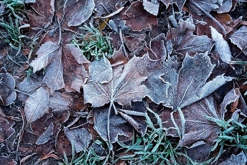 Photograph by Смирнов Алексей