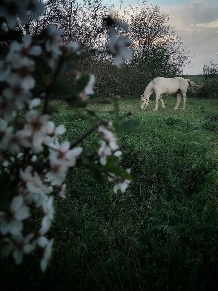 Photograph by Анжелика