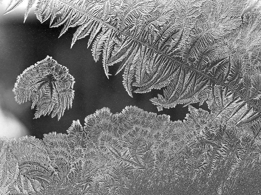 Photograph by Смирнов Алексей