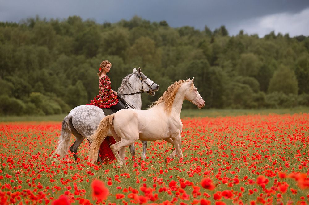 Photograph by Светлана Трушева