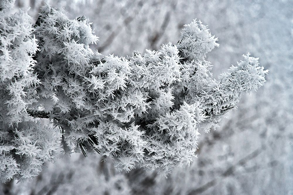 Photograph by Смирнов Алексей