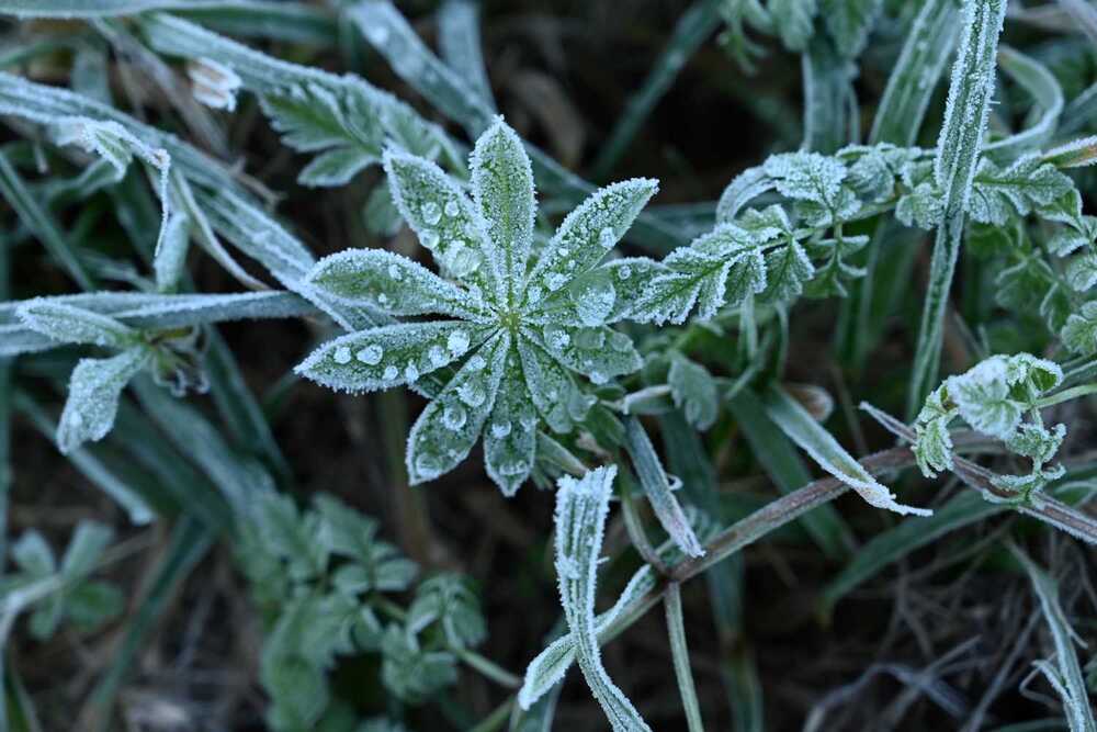 Photograph by Ксения