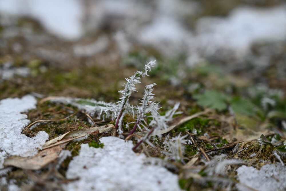 Photograph by Ксения