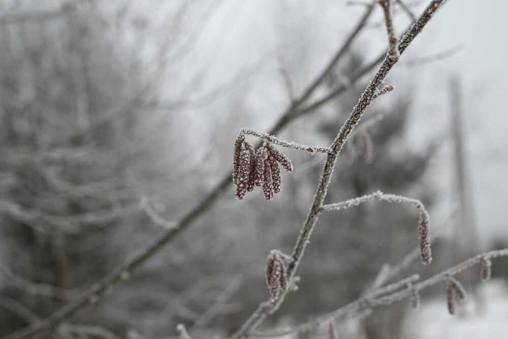 Photograph by Ксения