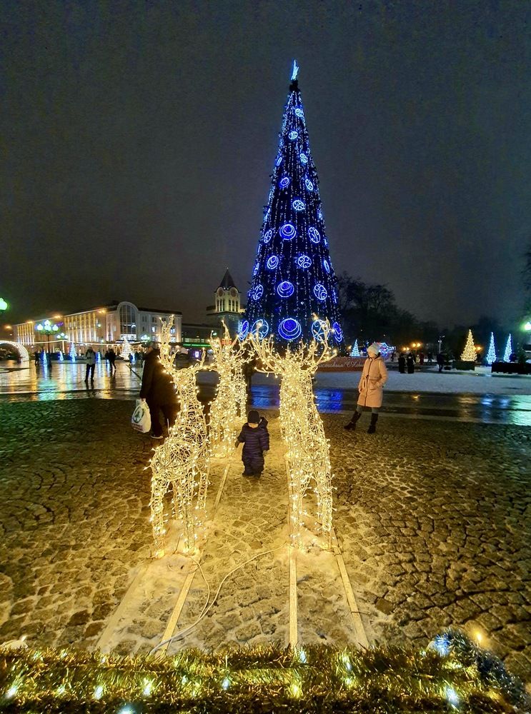 Photograph by Elena Ibragimova