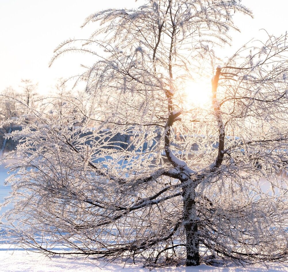 Photograph by Анна Стрелковская