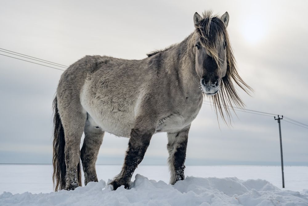 Фотография автора ARTEM KORZHUKOV