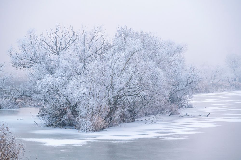 Photograph by levi bagy