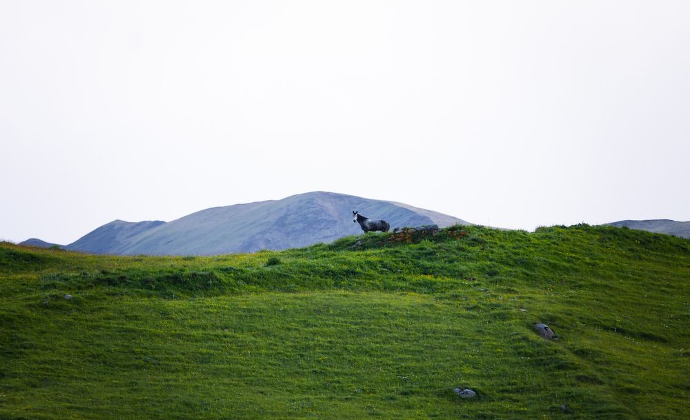 Фотография автора Виолетта Бастет