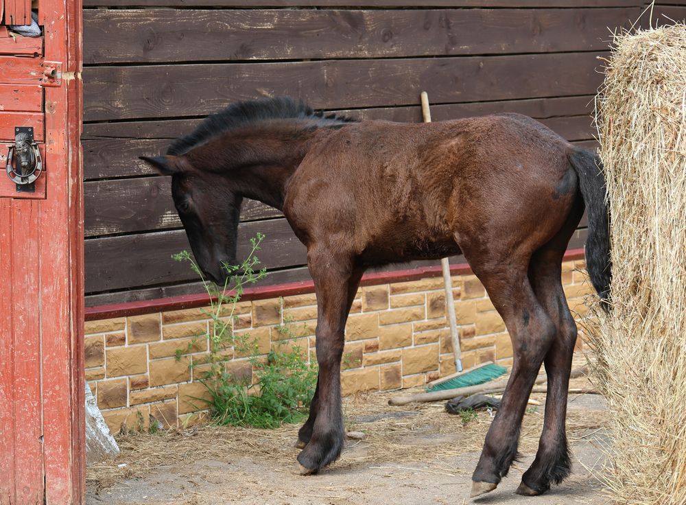 Photograph by Дашима