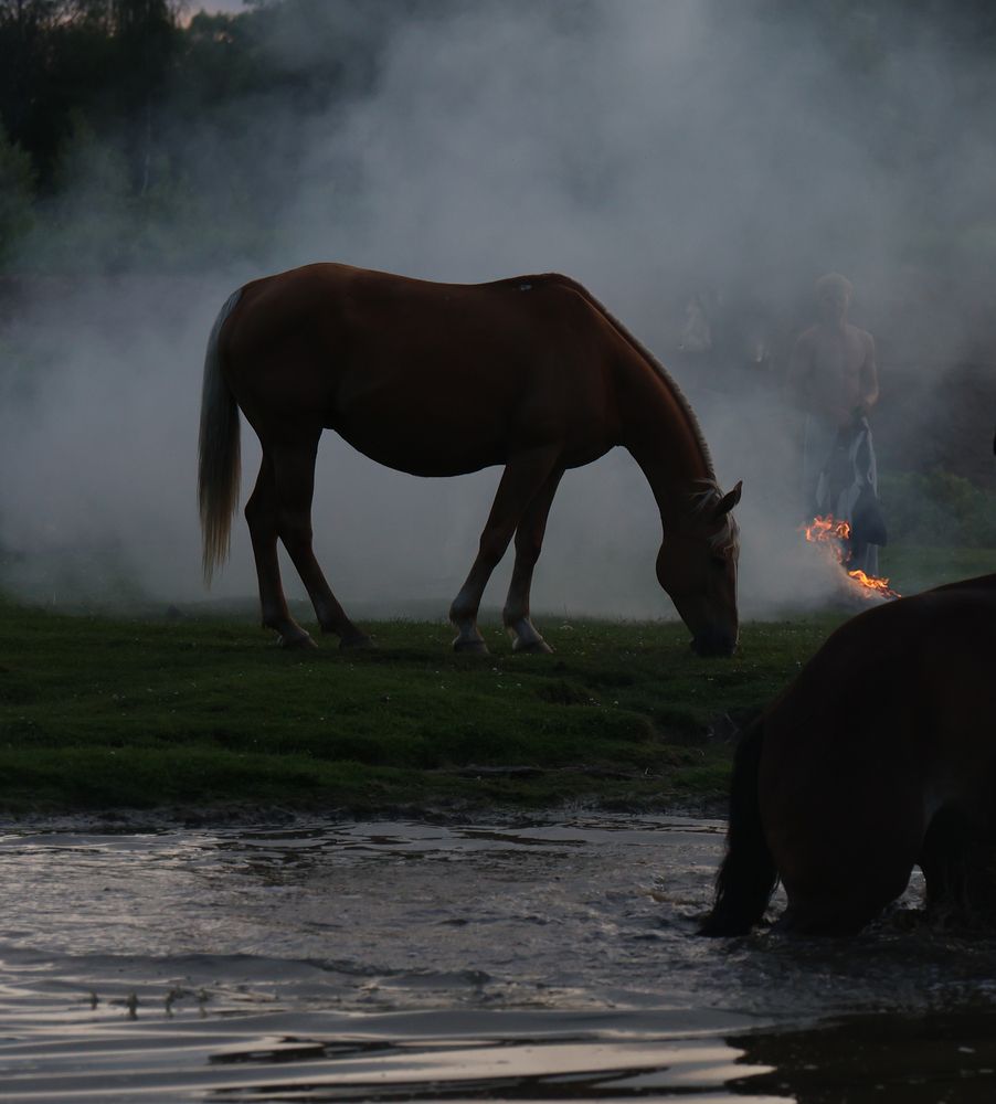 Photograph by Дашима