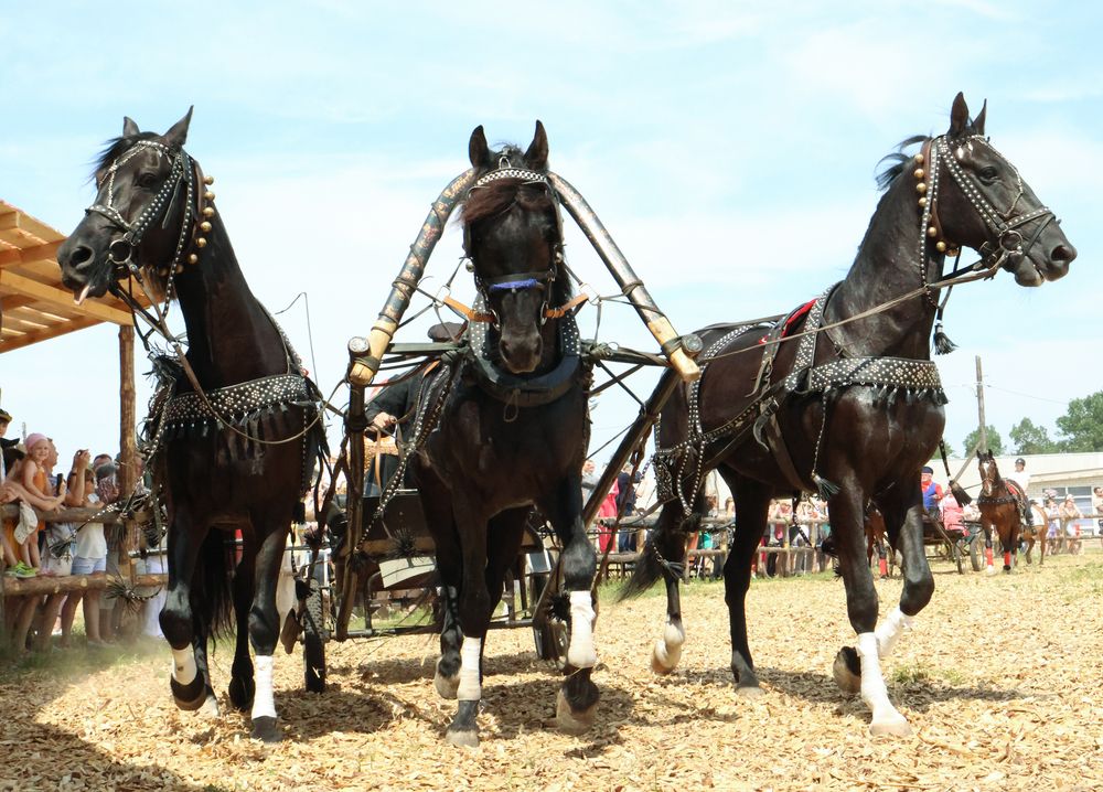 Photograph by Дашима