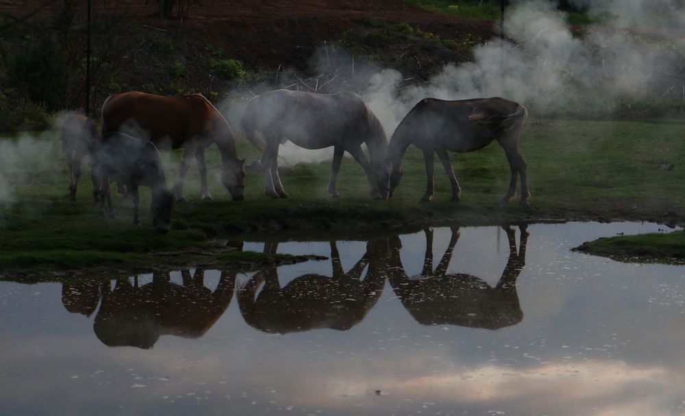 Photograph by Дашима