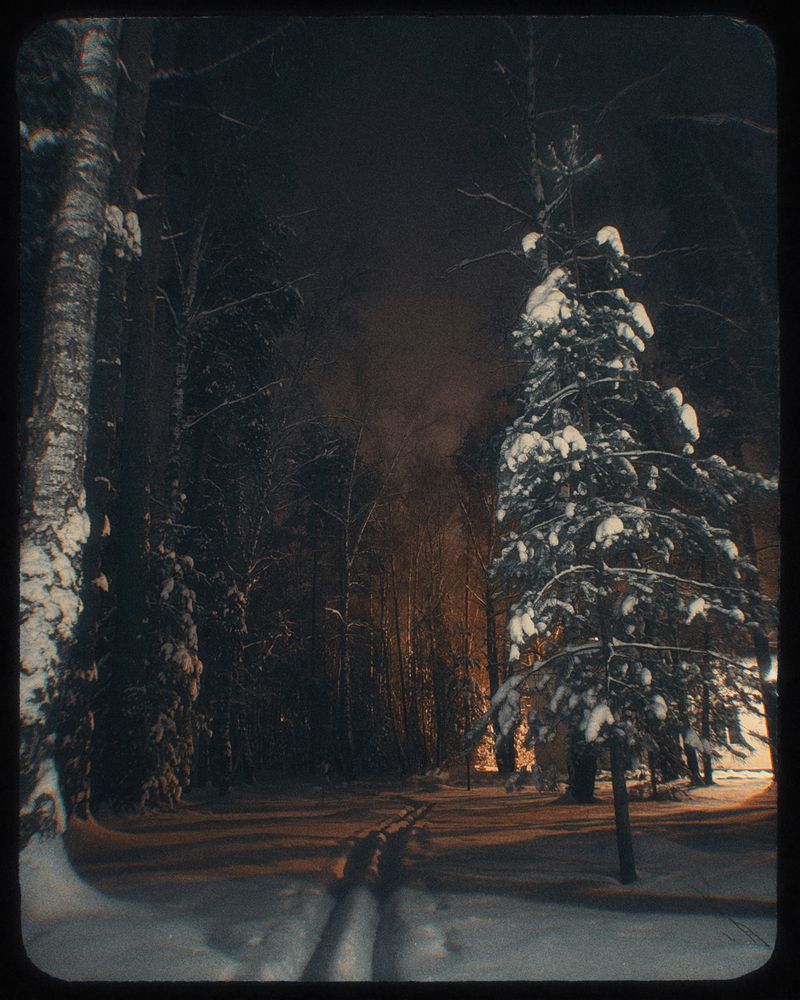 Photograph by Александра Бусарова