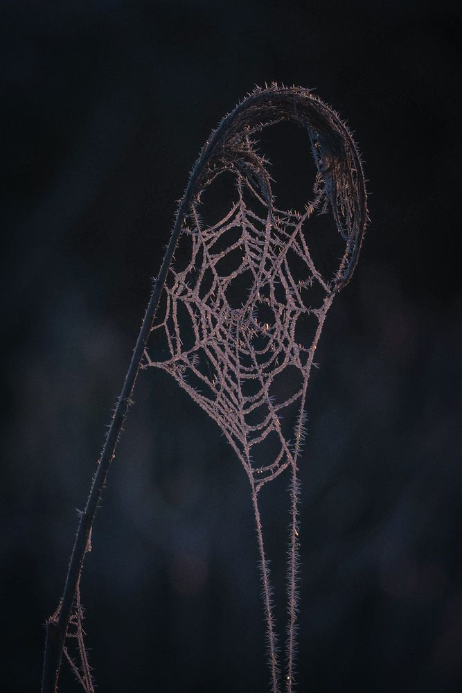 Photograph by Ольга Шайдулина