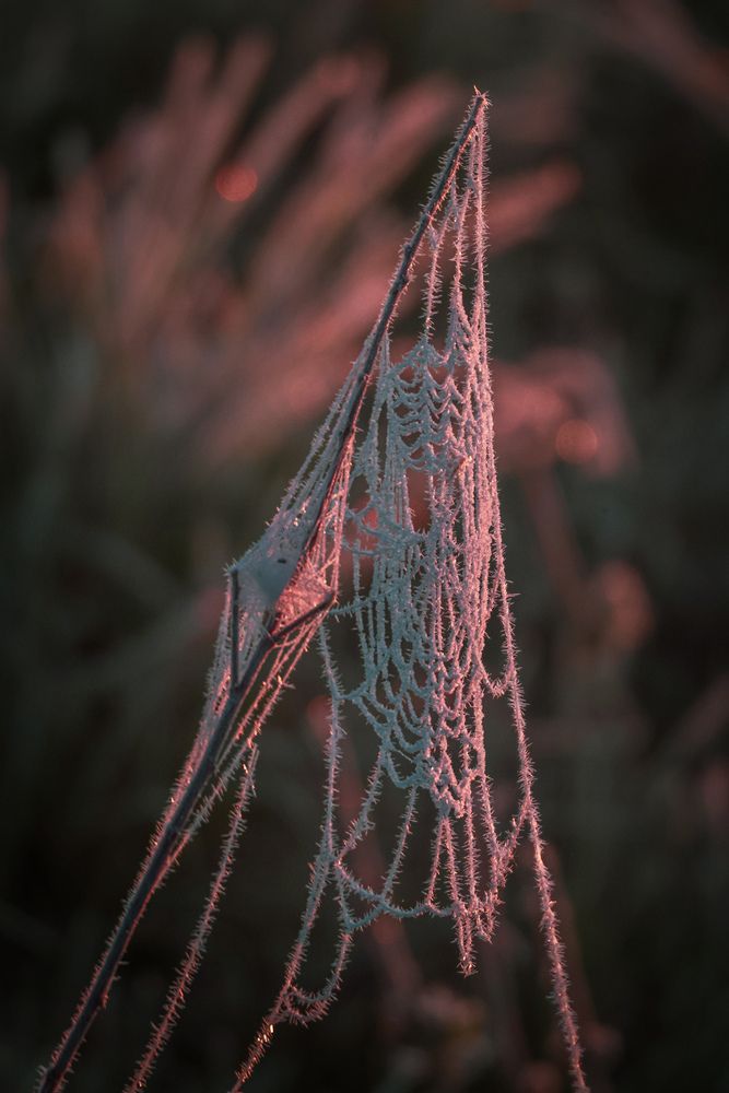 Photograph by Ольга Шайдулина