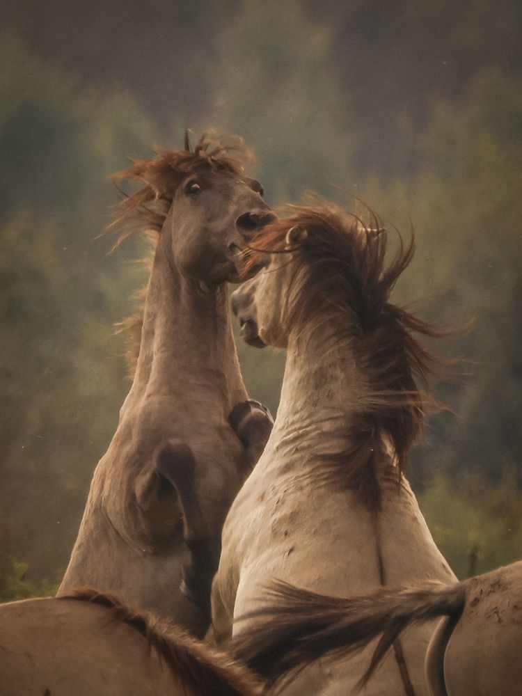 Photograph by Ольга Шайдулина