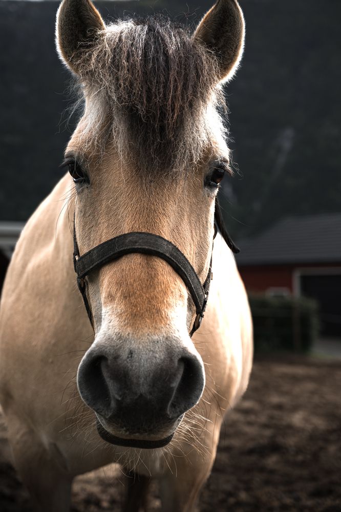 Фотография автора Ольга Кудіна