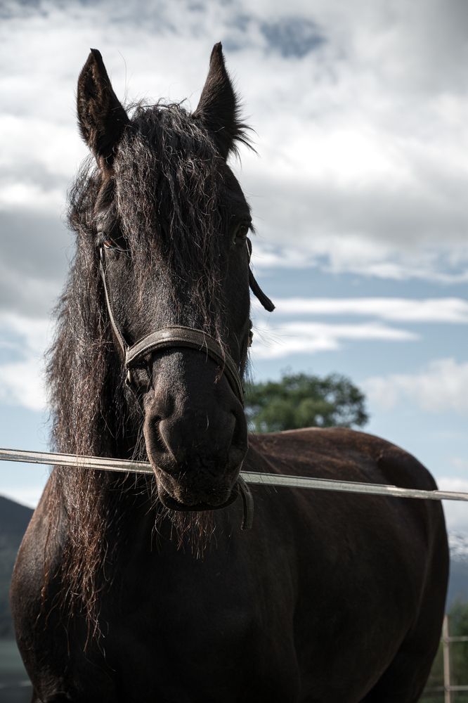 Фотография автора Ольга Кудіна