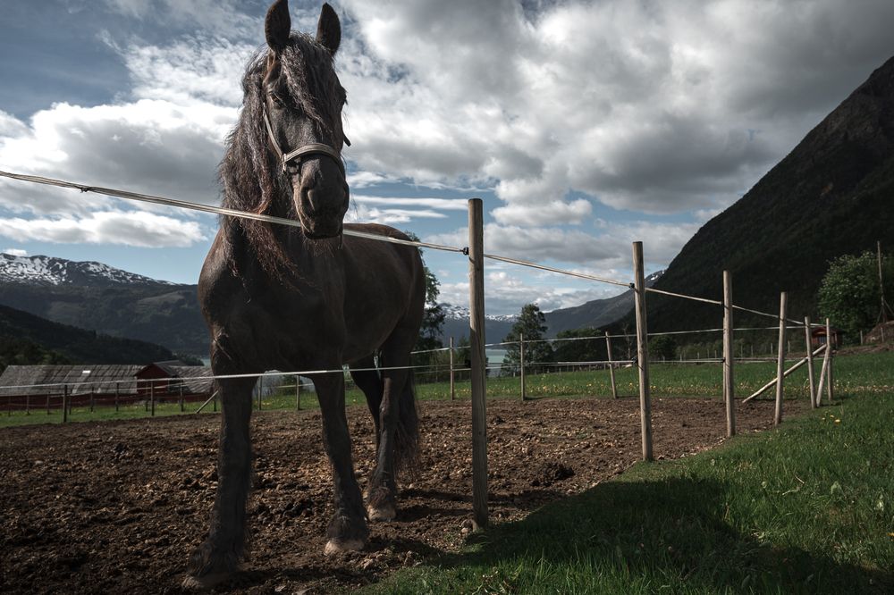 Фотография автора Ольга Кудіна