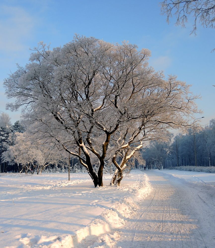 Photograph by Марина Колядина