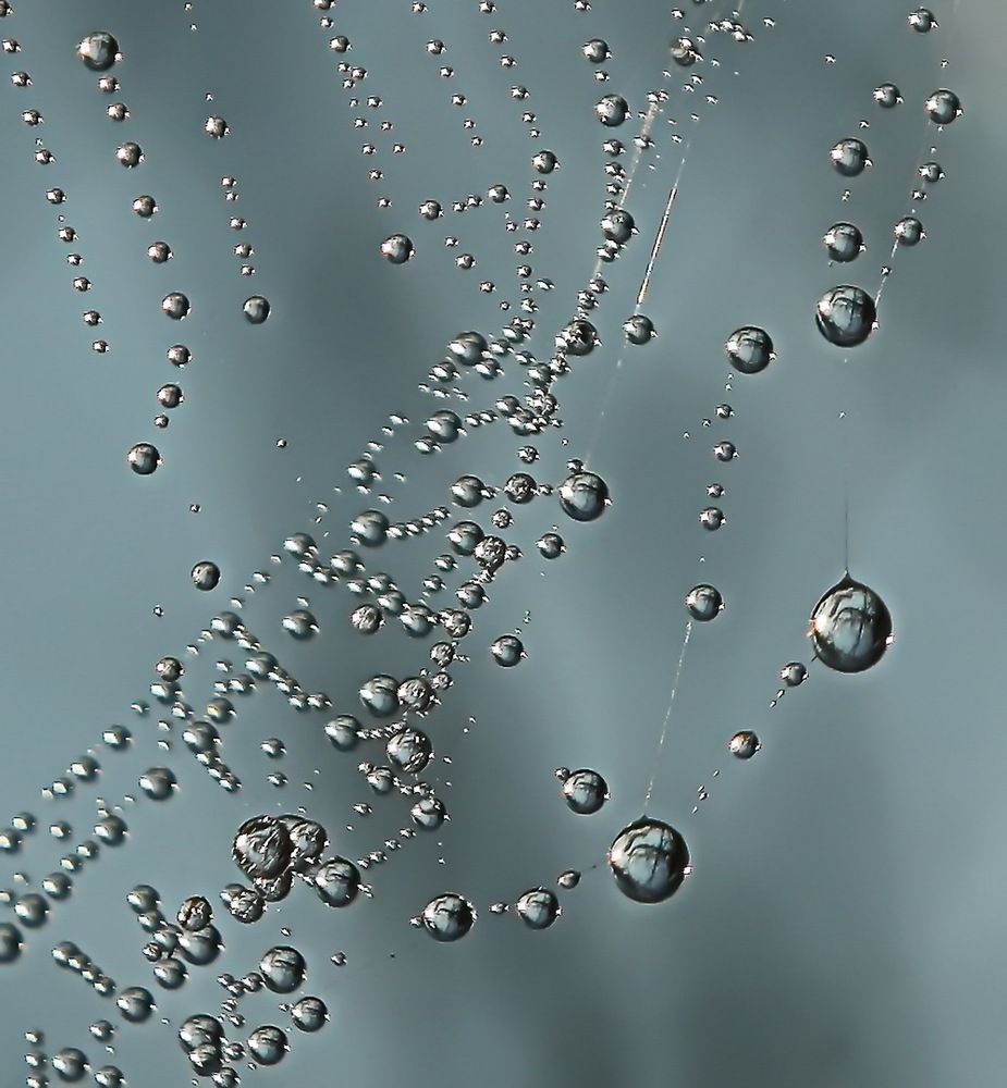 Фотография автора Сергей Кульков