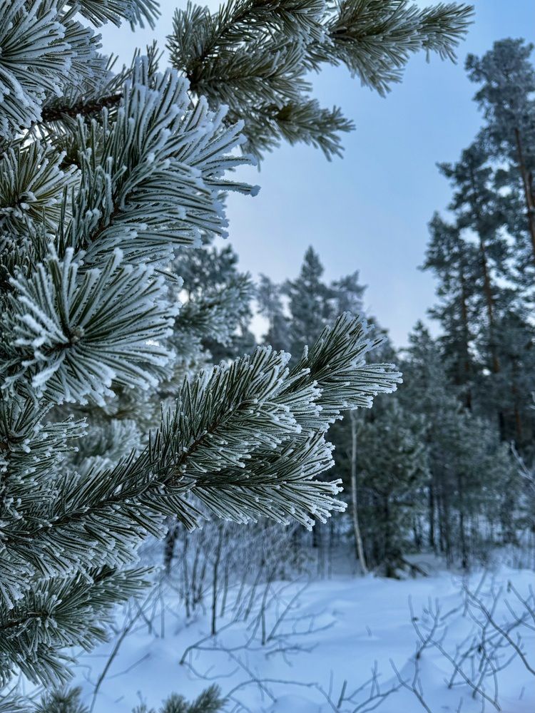 Photograph by Дарья Софронова