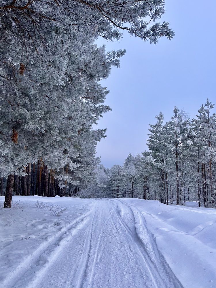 Photograph by Дарья Софронова