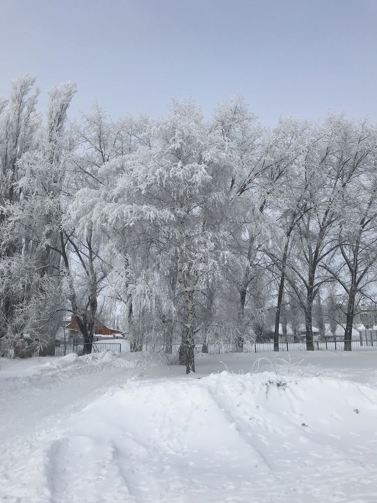 Фотография автора Татьяна