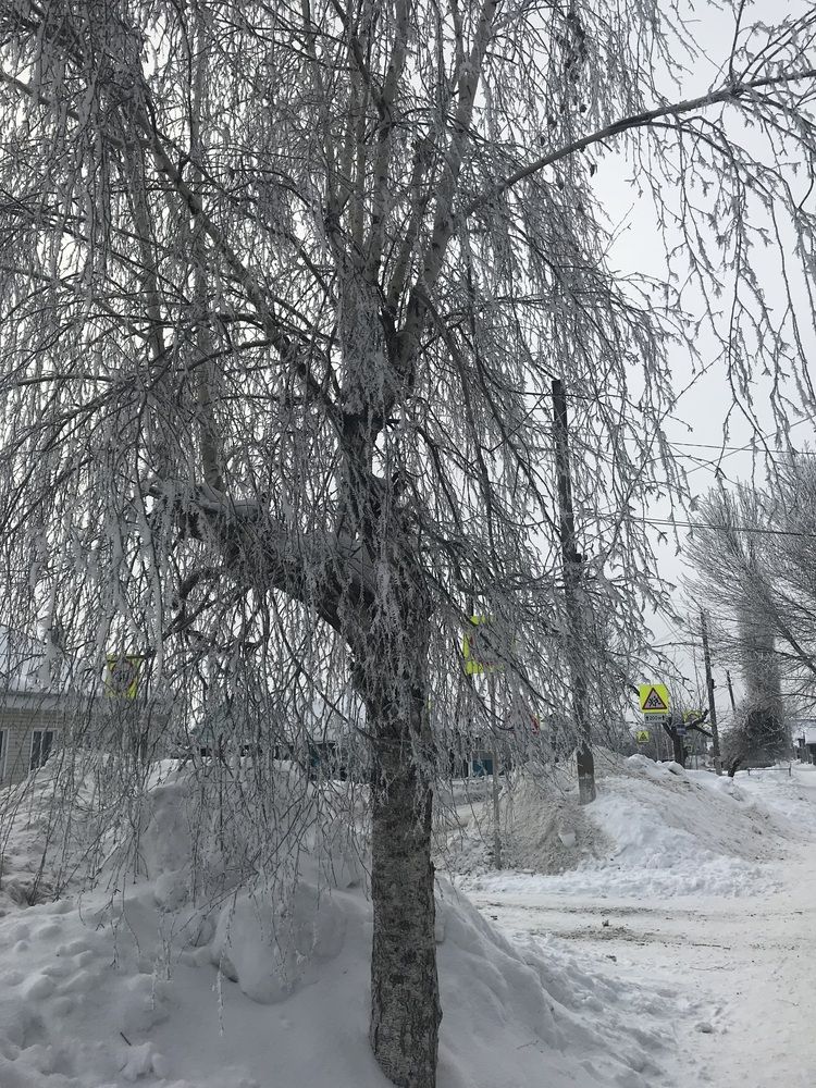 Фотография автора Татьяна