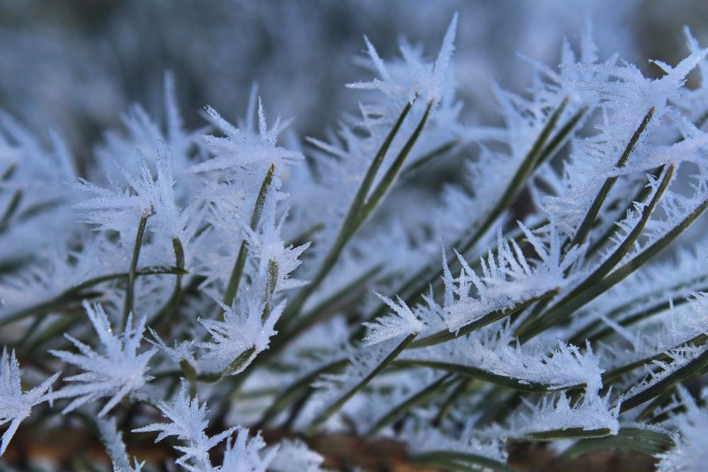 Photograph by Татьяна Бравая