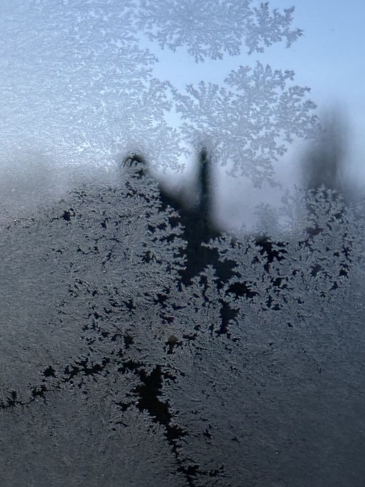 Фотография автора Татьяна