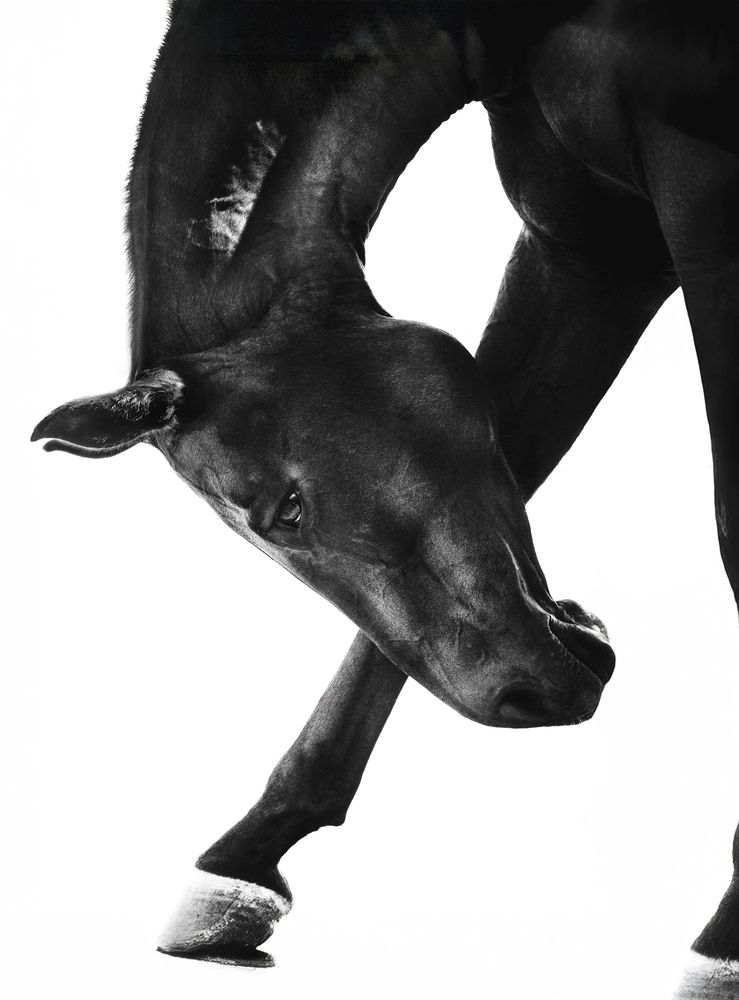 Photograph by Evelien Geldens