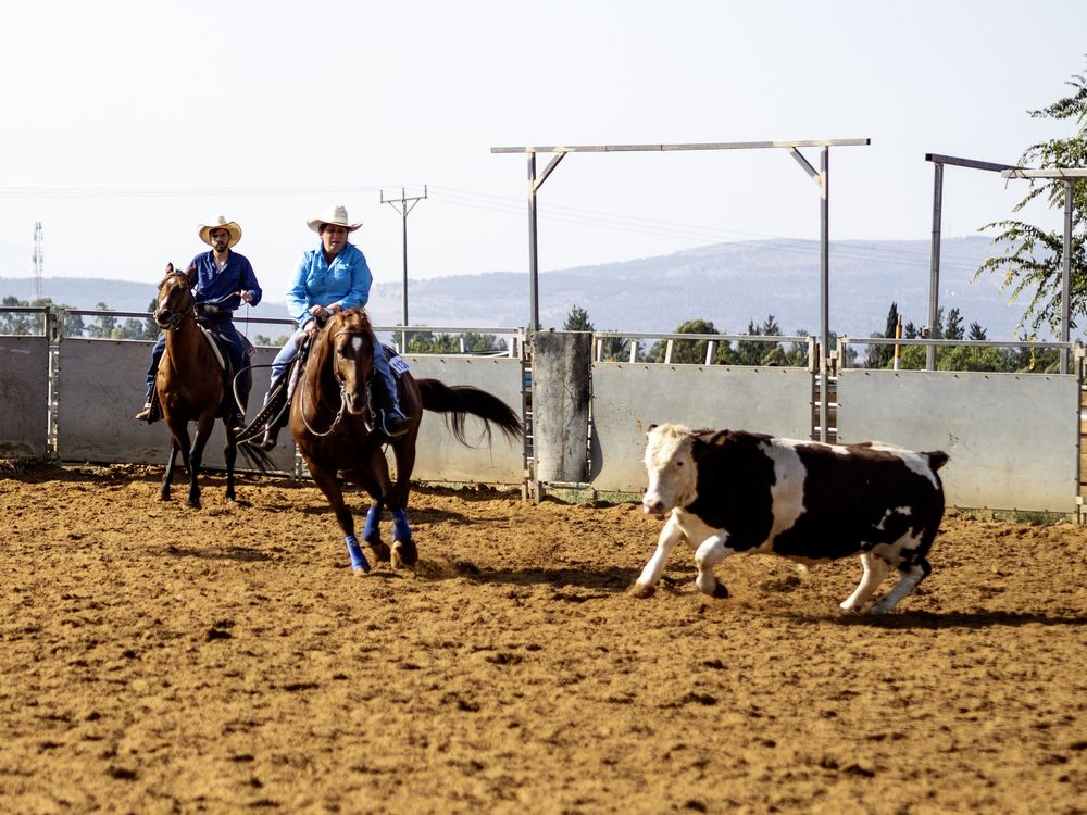 Photograph by Semion Ribinik