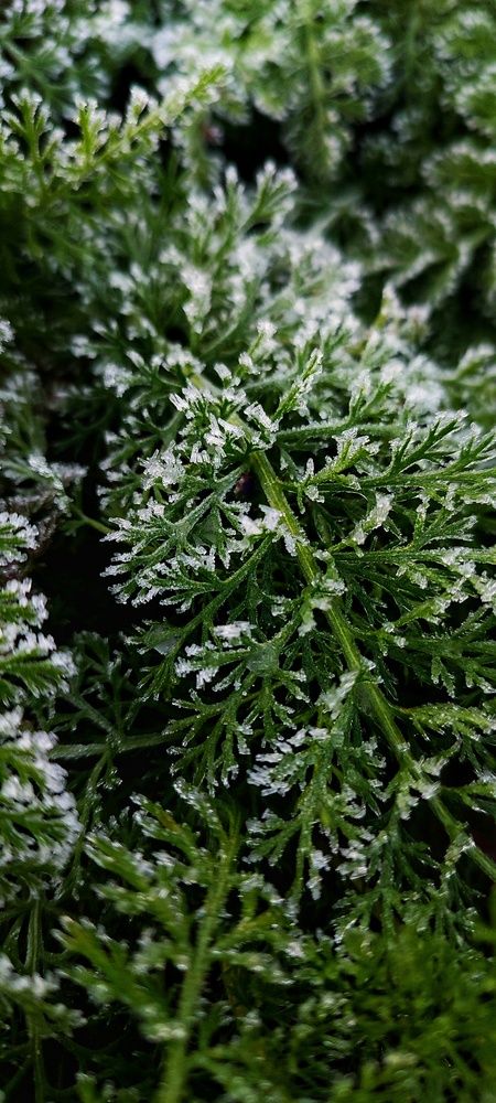 Фотография автора Наталия Шарова