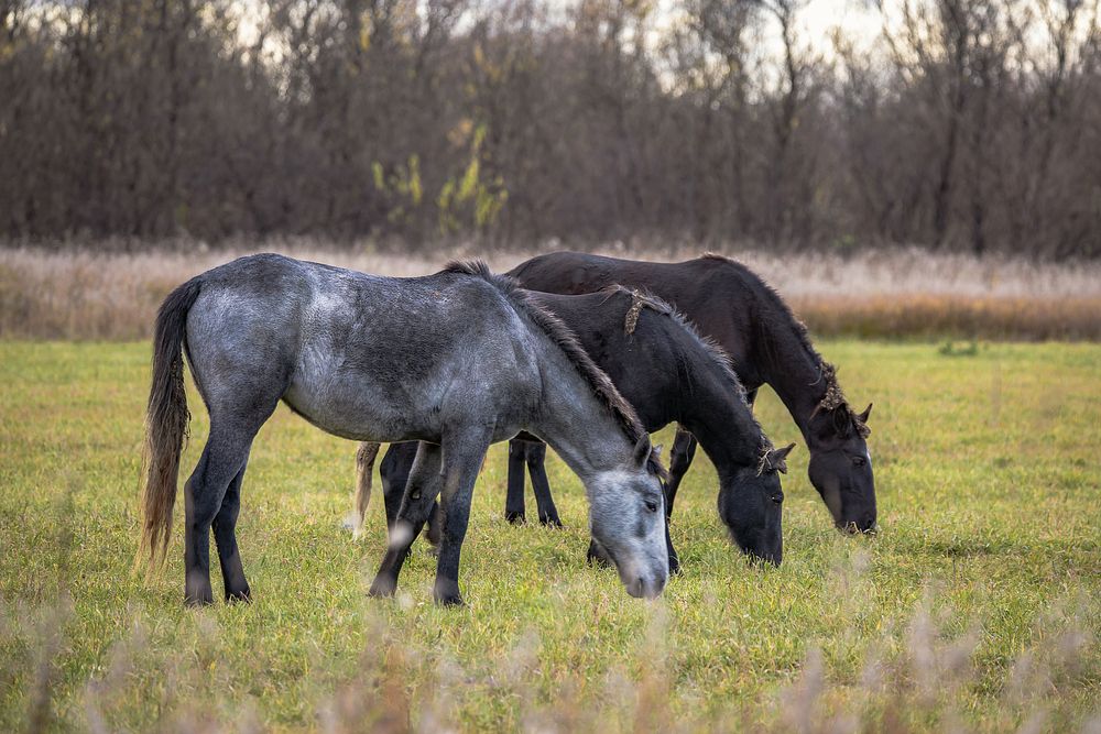 Photograph by Лапин Сергей