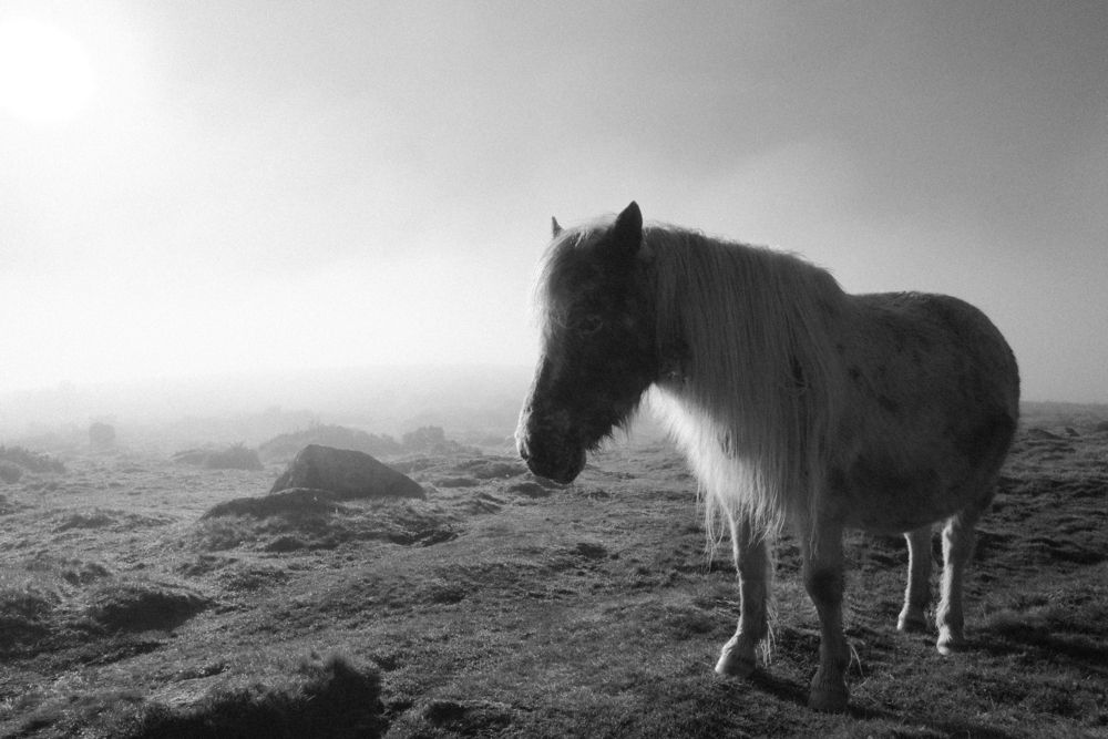 Photograph by George Peter Alshevskij-Jones