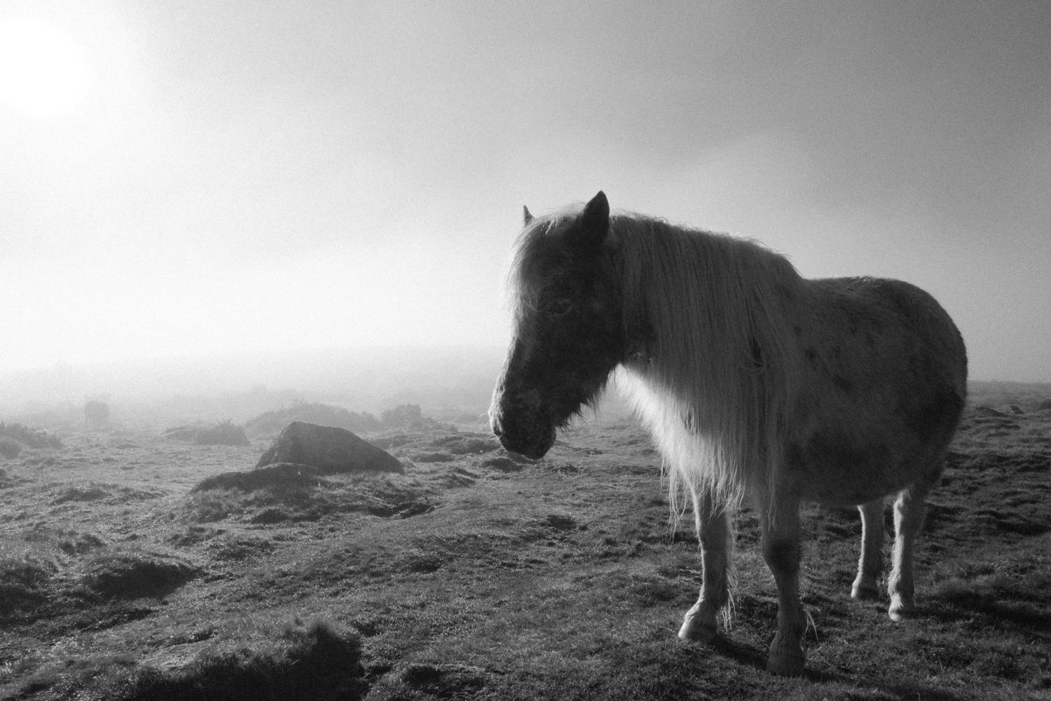 Фотография #13004487