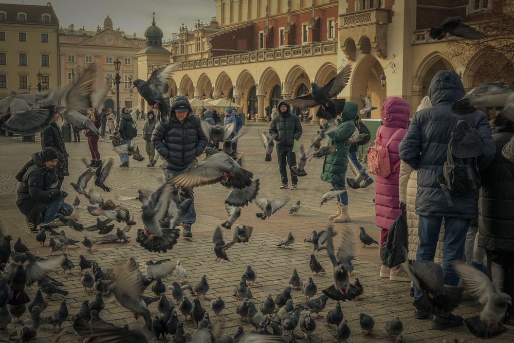 Photograph by Denis Cristian BURMELEAC