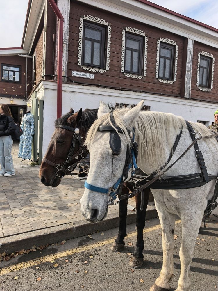 Фотография автора Елена Охапкина